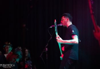 Guineapig - Photo by Natalie