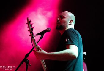 Guineapig - Photo by Natalie