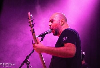 Guineapig - Photo by Natalie