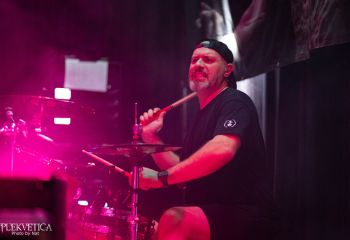 Guineapig - Photo by Natalie