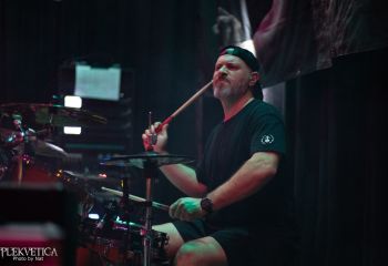 Guineapig - Photo by Natalie