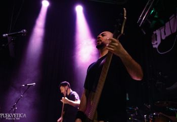 Guineapig - Photo by Natalie