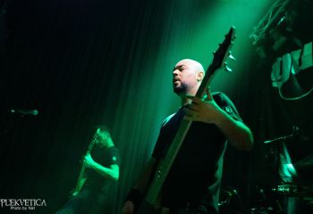 Guineapig - Photo by Natalie