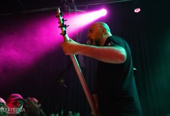 Guineapig - Photo by Natalie