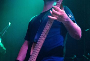 Guineapig - Photo by Natalie