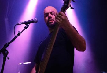 Guineapig - Photo by Natalie