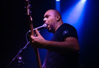 Guineapig - Photo by Natalie