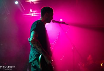 Guineapig - Photo by Natalie