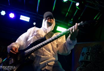 Gutulax - Photo by Natalie