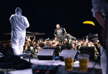 Gutulax - Photo by Natalie