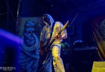 Gutulax - Photo by Natalie