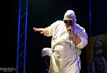 Gutulax - Photo by Natalie