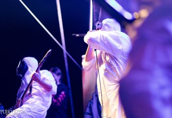 Gutulax - Photo by Natalie