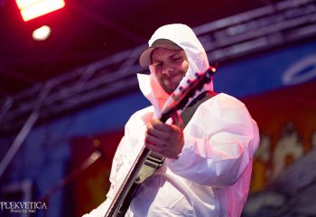 Gutulax - Photo by Natalie