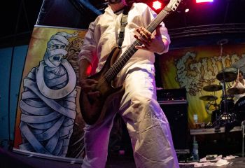 Gutulax - Photo by Natalie