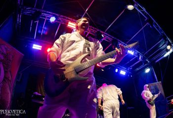 Gutulax - Photo by Natalie