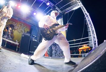 Gutulax - Photo by Natalie