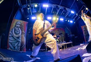 Gutulax - Photo by Natalie