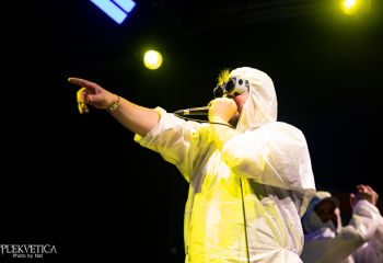 Gutulax - Photo by Natalie