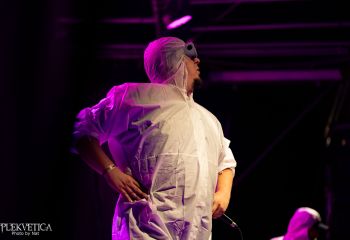 Gutulax - Photo by Natalie