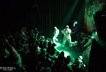 Gutalax - Photo by Natalie