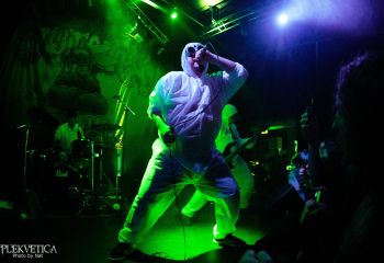 Gutalax - Photo by Natalie