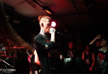 Guttural Slug - Photo by Natalie