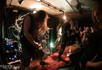 Guttural Slug - Photo by Natalie