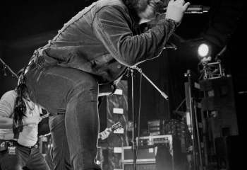 Haggefugg - Photo By Peti