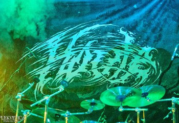 HOULE - Photo By Peti