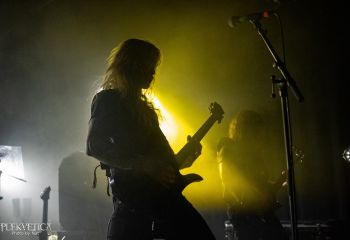 Hyperdontia - Photo by Natalie