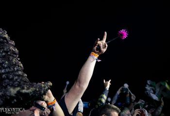 Gutulax - Photo by Natalie