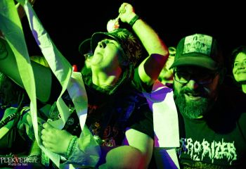 Gutulax - Photo by Natalie