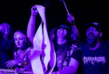 Gutulax - Photo by Natalie