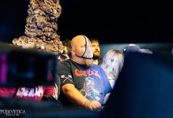 Gutulax - Photo by Natalie