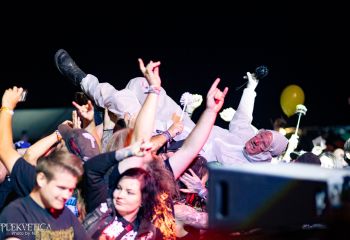 Gutulax - Photo by Natalie