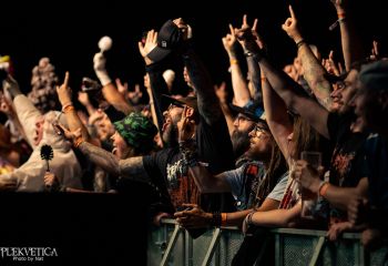 Gutulax - Photo by Natalie