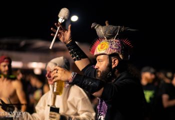 Gutulax - Photo by Natalie