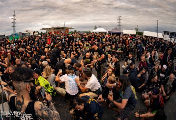 Coffin Feeder - Photo by Natalie