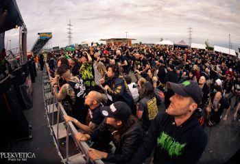 Coffin Feeder - Photo by Natalie