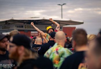 Coffin Feeder - Photo by Natalie