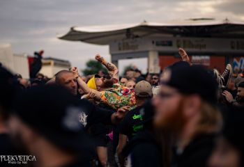 Coffin Feeder - Photo by Natalie