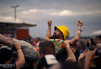 Coffin Feeder - Photo by Natalie