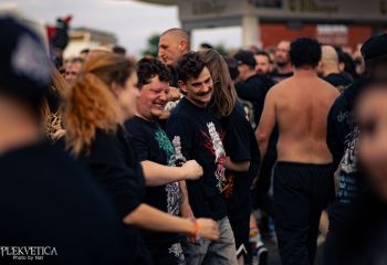 Coffin Feeder - Photo by Natalie