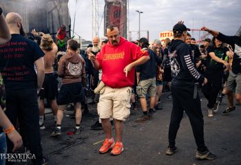 Coffin Feeder - Photo by Natalie