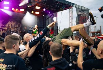 Coffin Feeder - Photo by Natalie