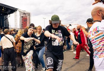 Pighead - Photo by Natalie