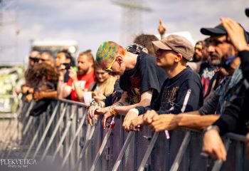 Vermicular Incubation - Photo by Natalie