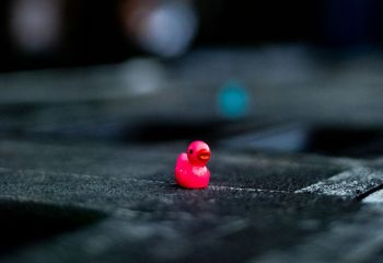 Decapitated - Photo by Natalie