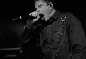 In Hearts Wake - Photo By Peti